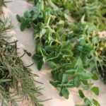 Fresh Herbs